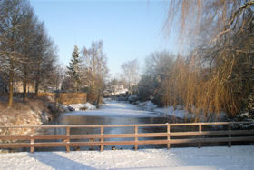 Winter in Boswijk 2012