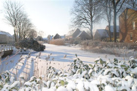 Winter in Boswijk 2012