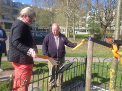 Koningsboom 2015